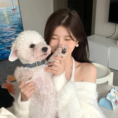 艾米莉亚2.0